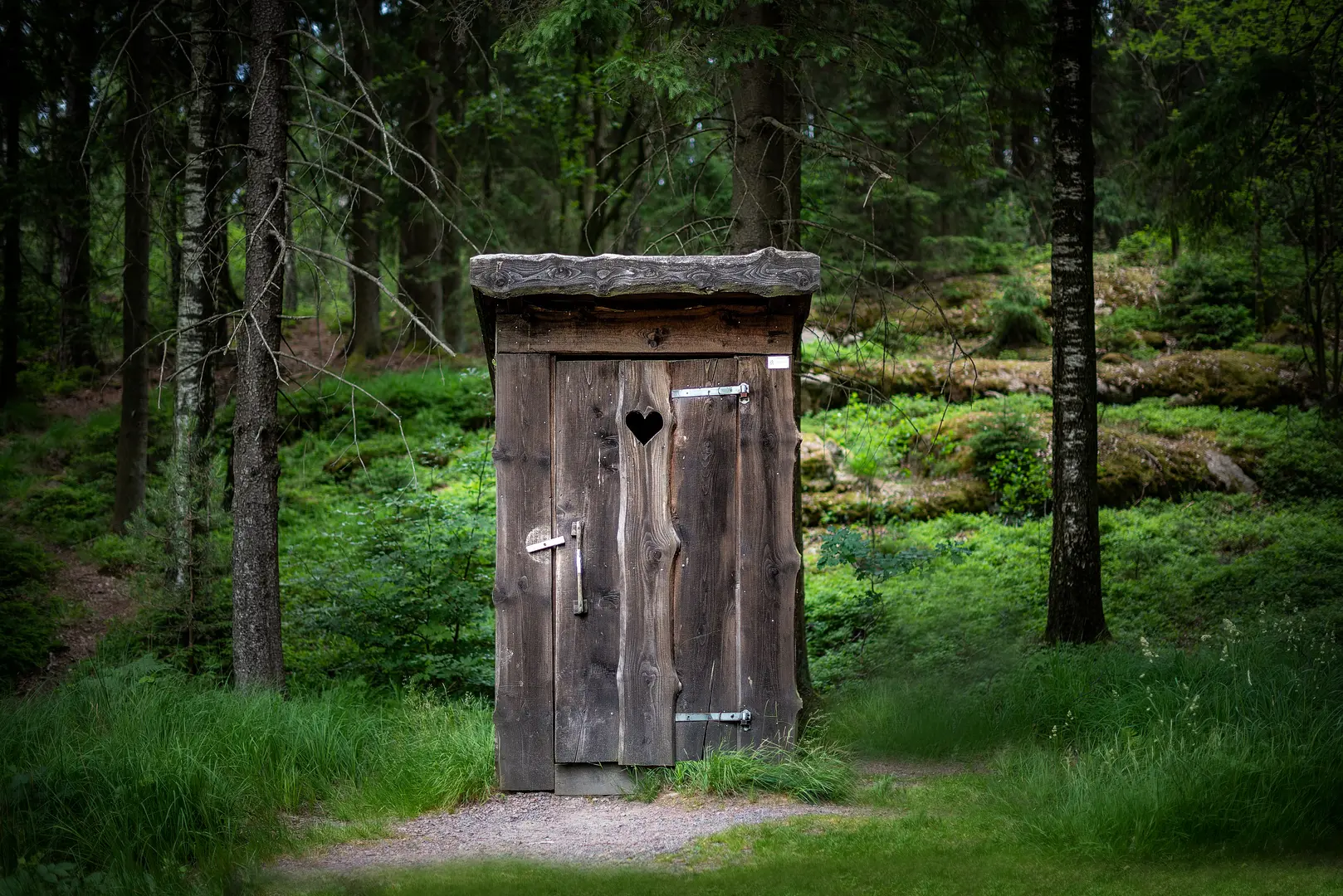 Are Toilet Seats All the Same Size?