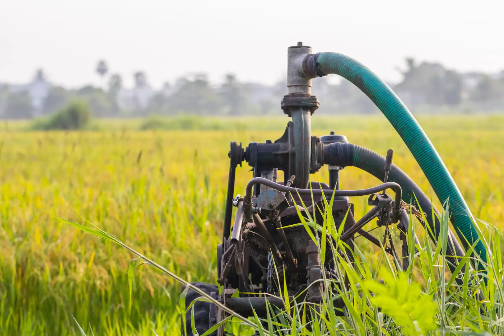 Common Macerator Problems and Their Solutions